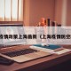 防控疫情政策上海最新（上海疫情防空政策）