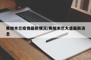 黄陂木兰疫情最新情况/黄陂木兰大道最新消息